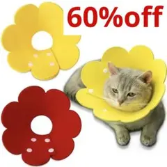 ❇️再入荷❇️ JANLOFO 1個 エリザベスカラー 猫用 小型犬用 ソフト