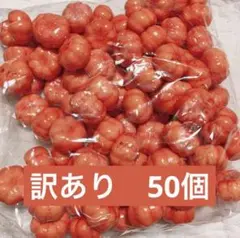 Item thumbnail for item b60b0420-44f1-414e-83a5-ccc26c8f4f28