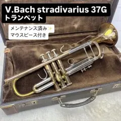 2025年最新】stradivarius bach 37の人気アイテム - メルカリ