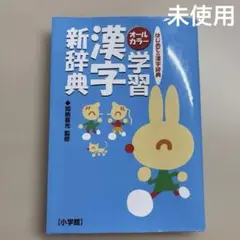 漢字新辞典 オールカラー 未使用