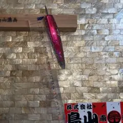 鳥山漁具　弓角　クリアピンク　11.5 Y-11