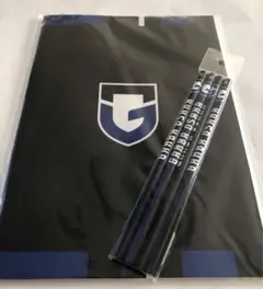 Item thumbnail for item bc210406-3a78-49ba-844e-704786a4609e