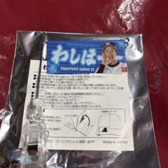 楽天イーグルスわしほーミニフラッグ岸孝之