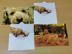 Item thumbnail for item 88c169a7-3585-44e2-a14c-0fc05f65af92