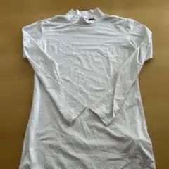 Item thumbnail for item 7ac41b0b-dcb0-4d72-adc9-4243a52e73ce