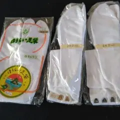 Item thumbnail for item c1499e9f-28c0-41f3-8eed-4301b98d3657