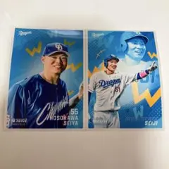 中日ドラゴンズ 竜ブロマイド 55 細川成也 51 上林誠知