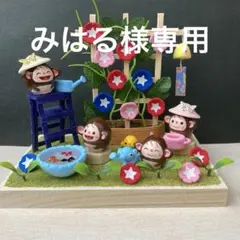 どんぐりアート　朝顔