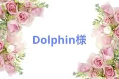 Dolphin様デコパ