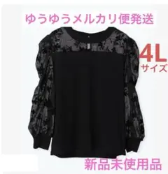 シフォン フロッキー 花柄 トップス カットソー 大きいサイズ 4L Re-J
