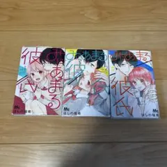 みにあまる彼氏 全3巻セット 値下げ⭕️