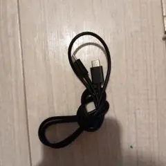USB-C to USB-Aケーブル 約1メートル ブラック