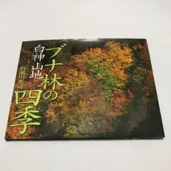 ブナ林の四季・白神山地
