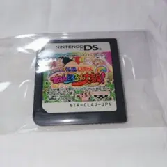 【動作確認済み】嵐を呼ぶ クレヨンしんちゃん ねんどろろ〜ん大変身！　DS