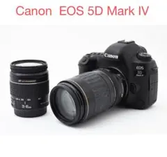 Item thumbnail for item dbbc4bf4-b99d-4eda-9c31-acf7b6e88f82