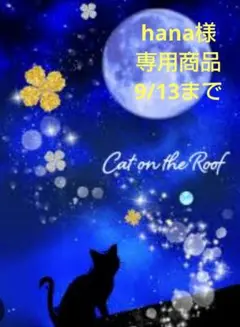 hana様★専用商品★