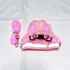 Item thumbnail for item 60c5ece9-346f-41a3-9655-c4b1712f9e82