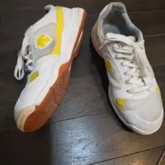 DESCENTE　体育館シューズ　26センチEE
