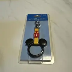 ★ディズニーランド　キーチェーンカラビナ★