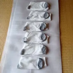 Item thumbnail for item 435b3da5-1fe7-4425-a194-fd85ce28e010