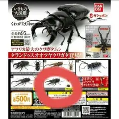 いきもの大図鑑　04　コクワガタ　フィギュア　ガチャ