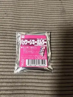 パッケージキーホルダー　サガプラネッツＢ