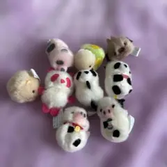 ぴよりーな　ひよこのおかげ