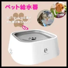 Item thumbnail for item f31605db-66f8-4ed1-a863-5fd63489aad4