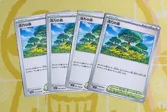 活力の森　4枚