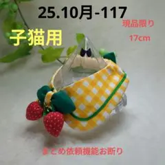 Item thumbnail for item 0ee57cfe-a083-4965-90bc-cfcea52826cc