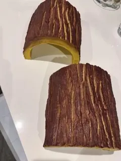 隠れ家 爬虫類、両生類など