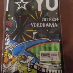 オールスターゲーム2025タオル