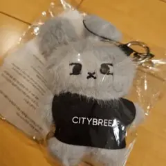 2025年最新】CITYBREEZE ドヨンの人気アイテム - メルカリ