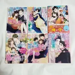 ベリーズ文庫 純潔花嫁 他 6冊セット