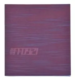 新品未開封 #FF0921#piezoglyph アートブック