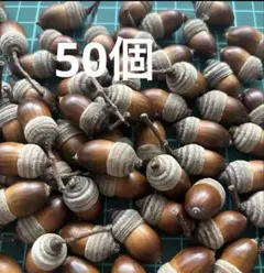 縞々帽子付きどんぐり　100個