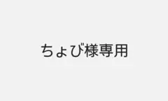 ZARA リュック