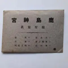 Item thumbnail for item 98ca1081-6041-4866-886c-9738ffc4bd6c