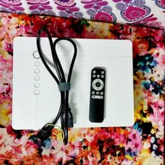 Item thumbnail for item a7c7642e-3305-4ed2-9298-00dc4a7bce45