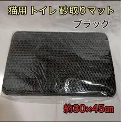 Item thumbnail for item a58f179e-aebc-4675-8317-c7b7c90bd94a