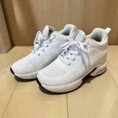 ホワイト メッシュ スニーカー エアクッション