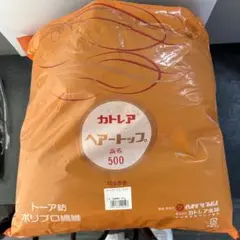 Item thumbnail for item 9d1fe900-8ba9-46d0-b579-aab0c188039f