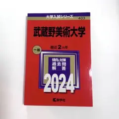 新品未使用 武蔵野美術大学 2024 赤本