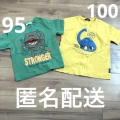 恐竜　Tシャツ　95・100 ACOBA moujonjon キッズ　ベビー
