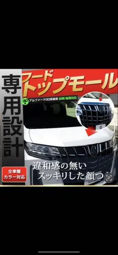 2025年最新】フードトップ アルファードの人気アイテム - メルカリ