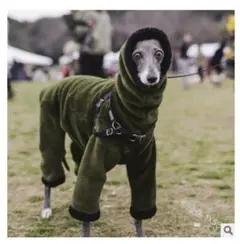 イタグレ服 モスグリーン Mサイズ 犬服 ペット服 ドッグウェア ロンパース