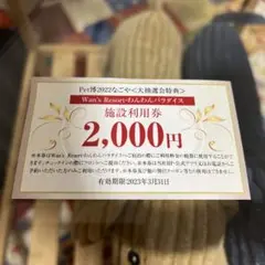 わんわんパラダイス 施設利用券