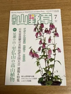 2025年最新】富貴蘭図鑑の人気アイテム - メルカリ