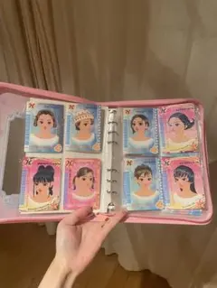 ラブandベリー　DS カード51枚(被りなし)＋カードケース