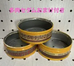 リメイク缶 リメ缶 3個セット 多肉セダムおまけ付き